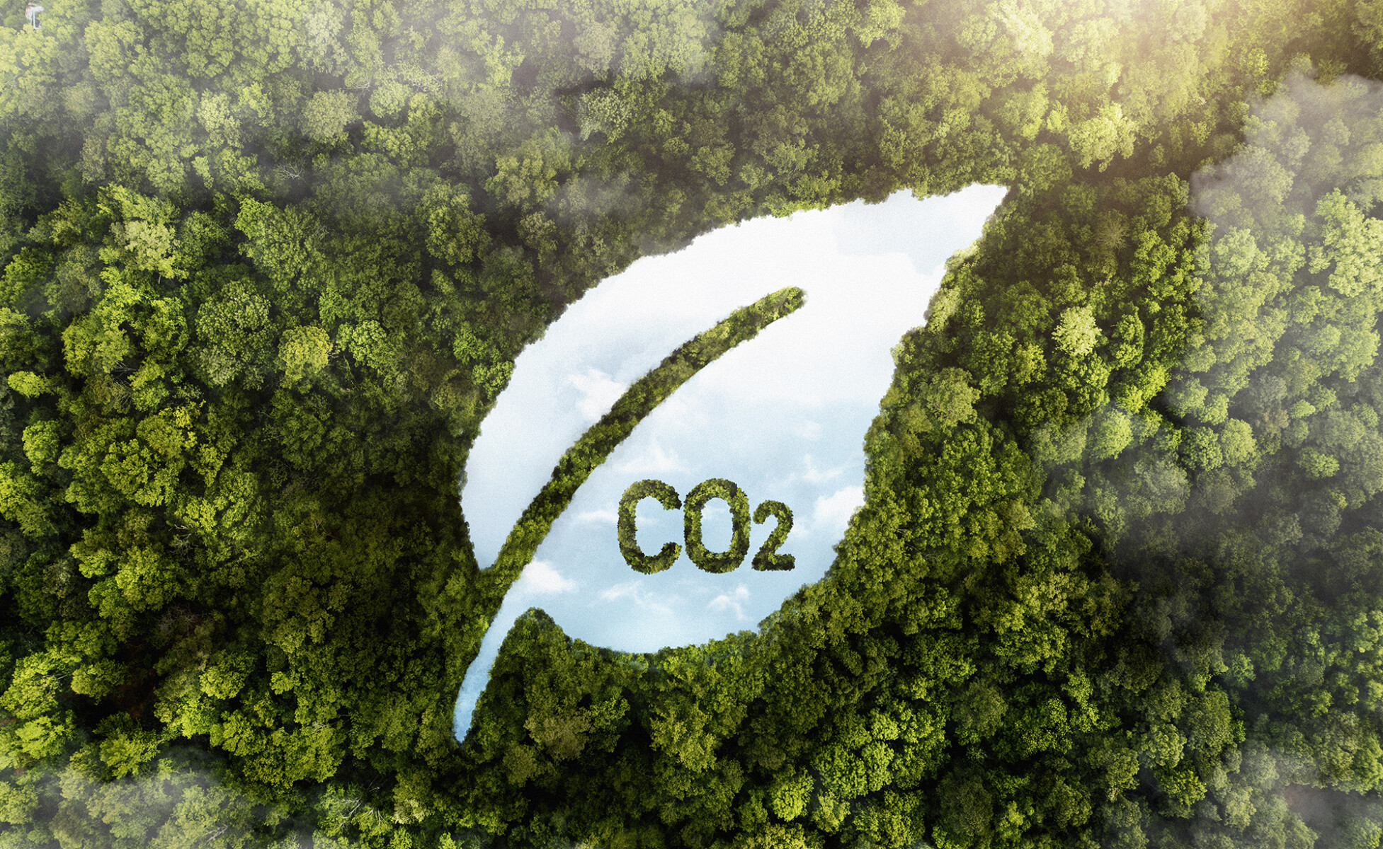 CO2-compensatie bij aanschaf van een Nefit Bosch cv-ketel